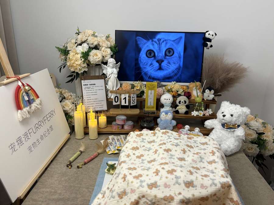 肇庆宠物单独火化